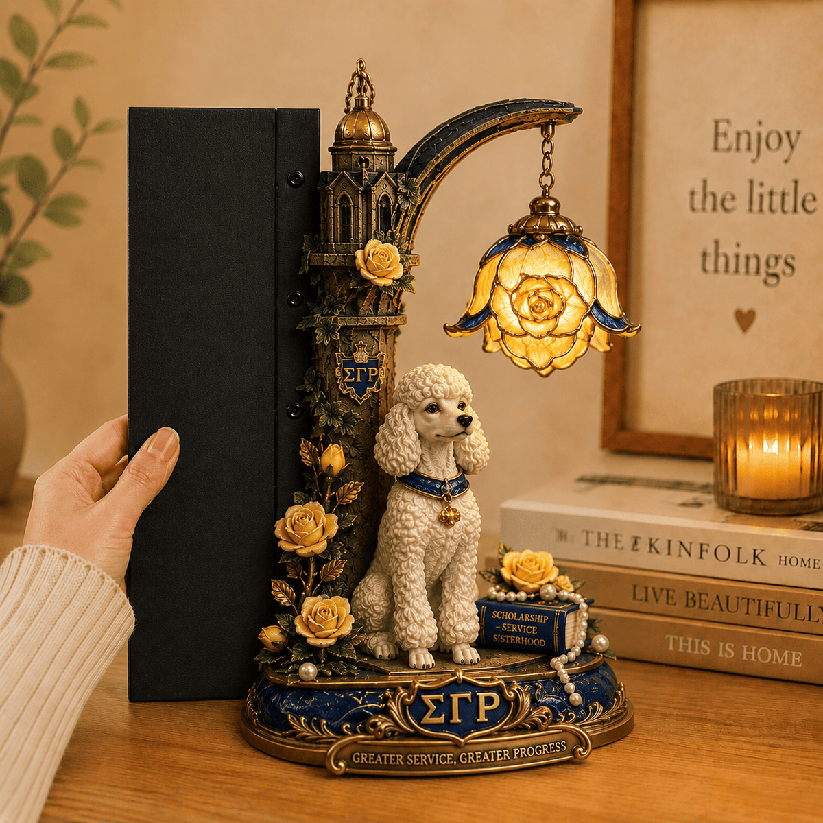 Premium SGRO Bookshelf Figurines Lamp NTNA