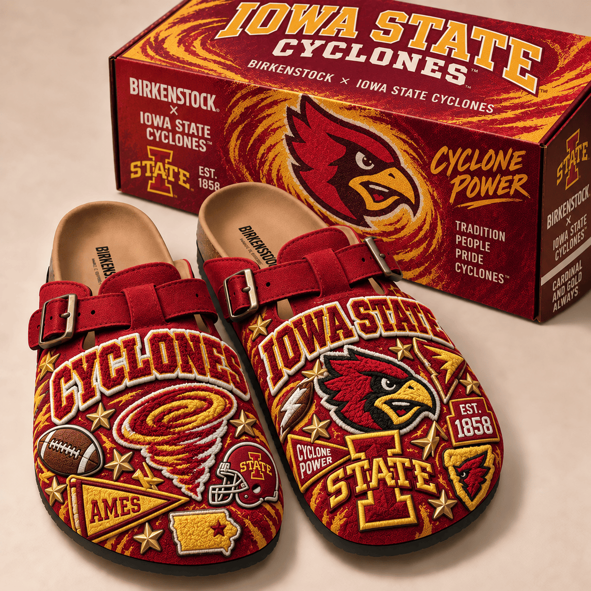 PREMIUM ISC MINK SUEDE CLOGS TTNL