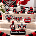 ESD Silver Charm Set PNPA